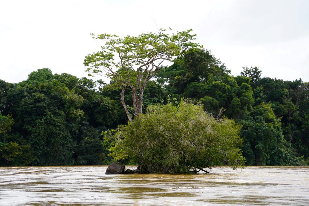 Binnenland van Suriname