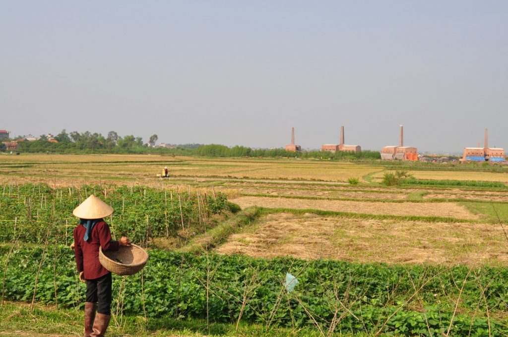 Rijstvelden in Vietnam