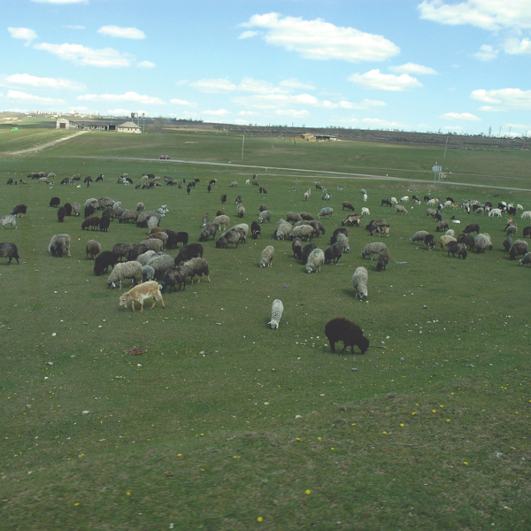 Het platteland van Moldavië