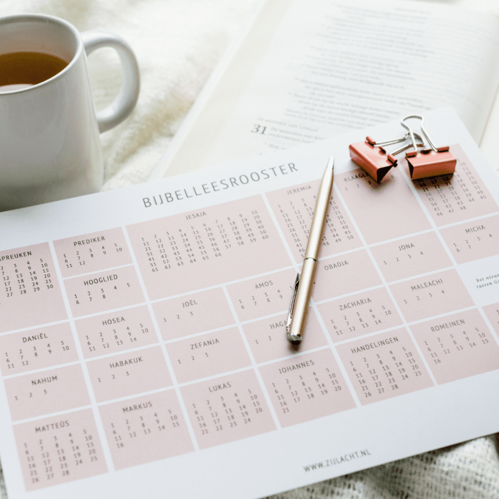 Zijlacht afstreeprooster